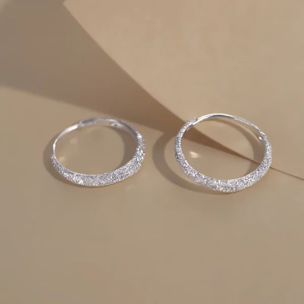 Silver Needle Piercing Circle Charm Hoop Earring For Women Girls Party Wedding Jewelry eh1089