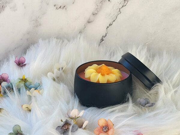 Hearthlight Wick
